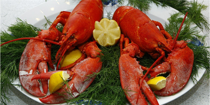 lobster 1608440 1280