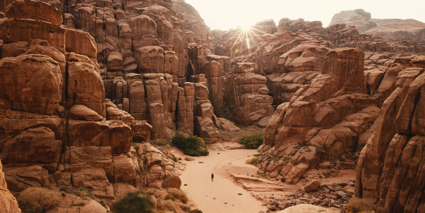 laurentiu morariu E5GDXuRiAzU unsplash