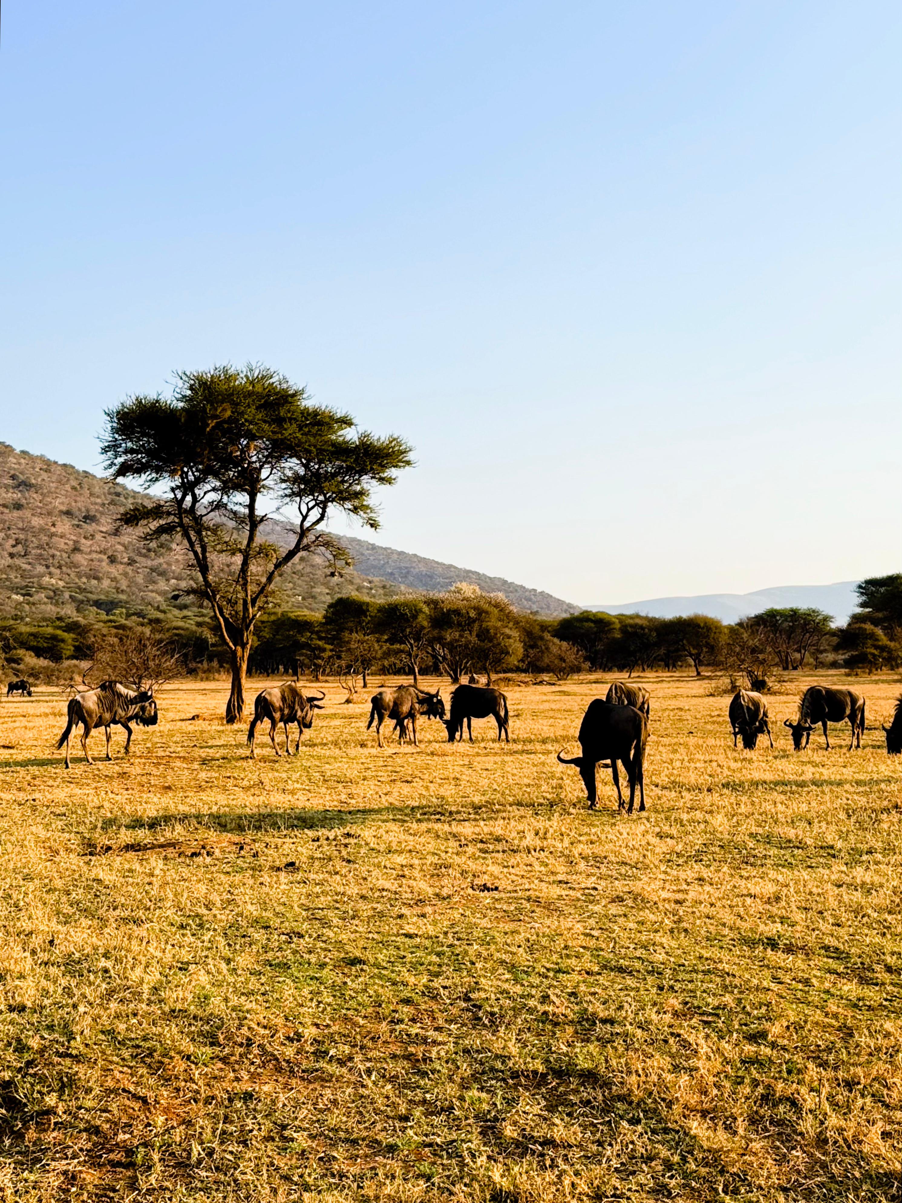 59fcf9ab ec23 4d20 81e8 12cf4d700fce