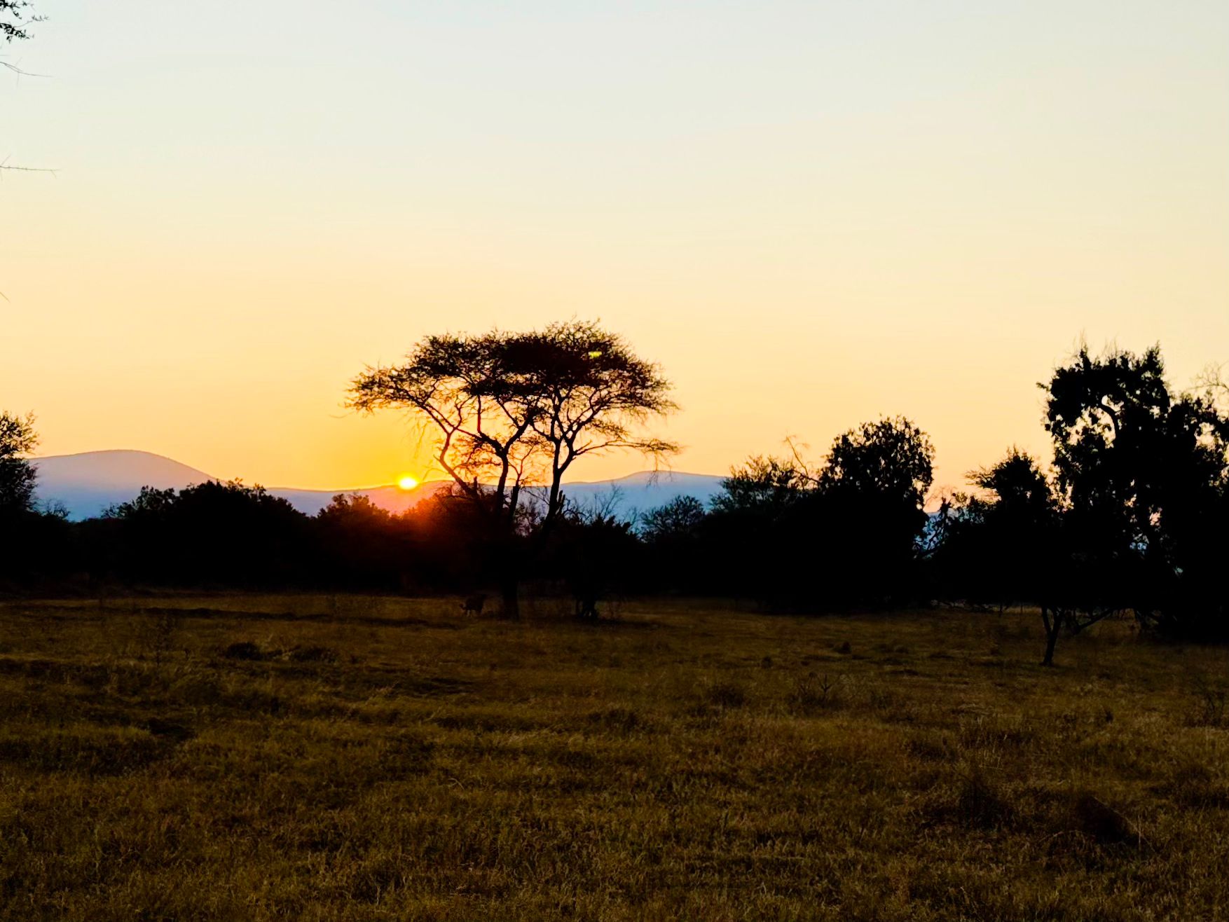 Patagonien kleineEisberge quer