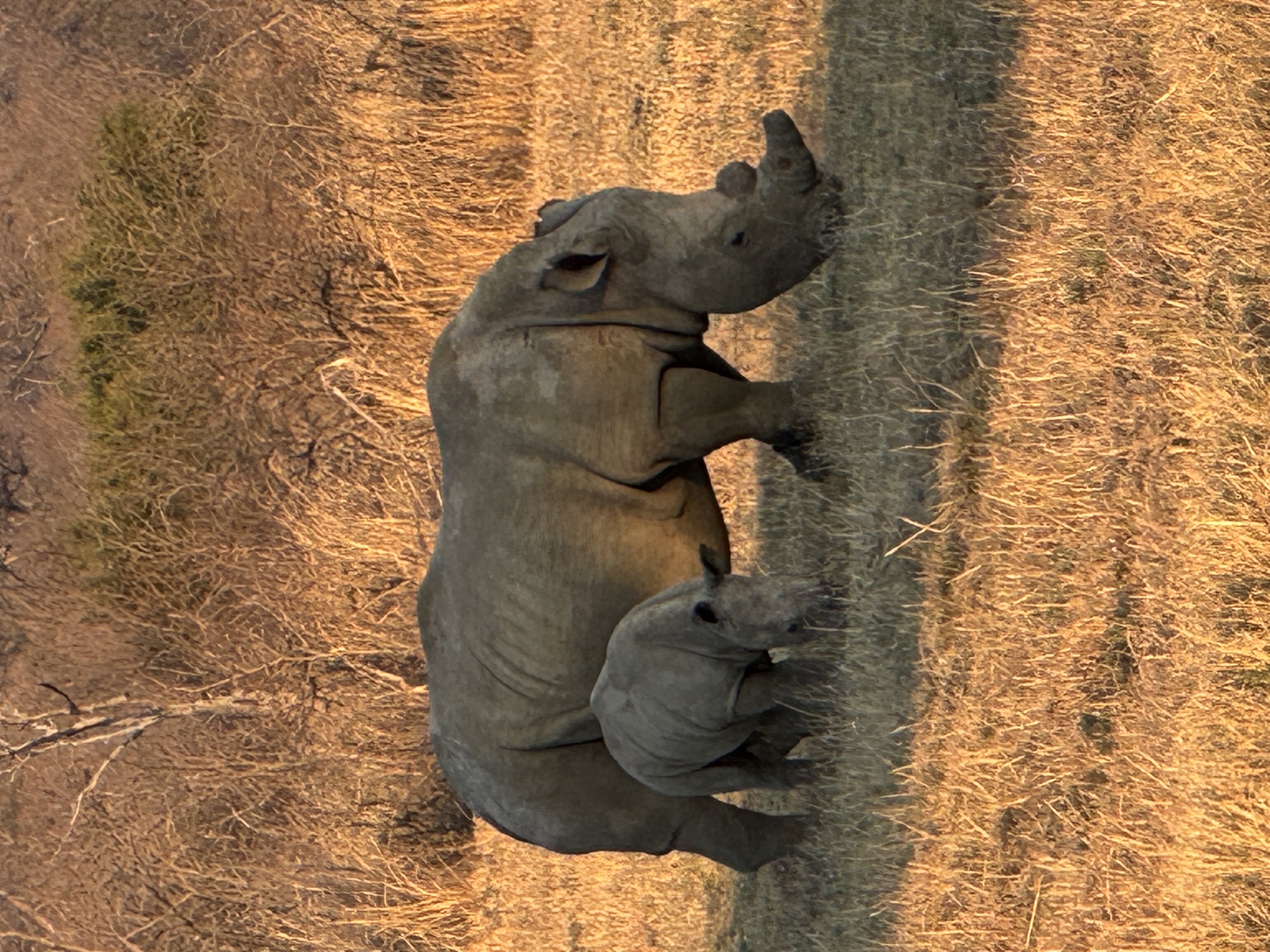 db35732d 1247 4e18 95ea 2bfa356cb929