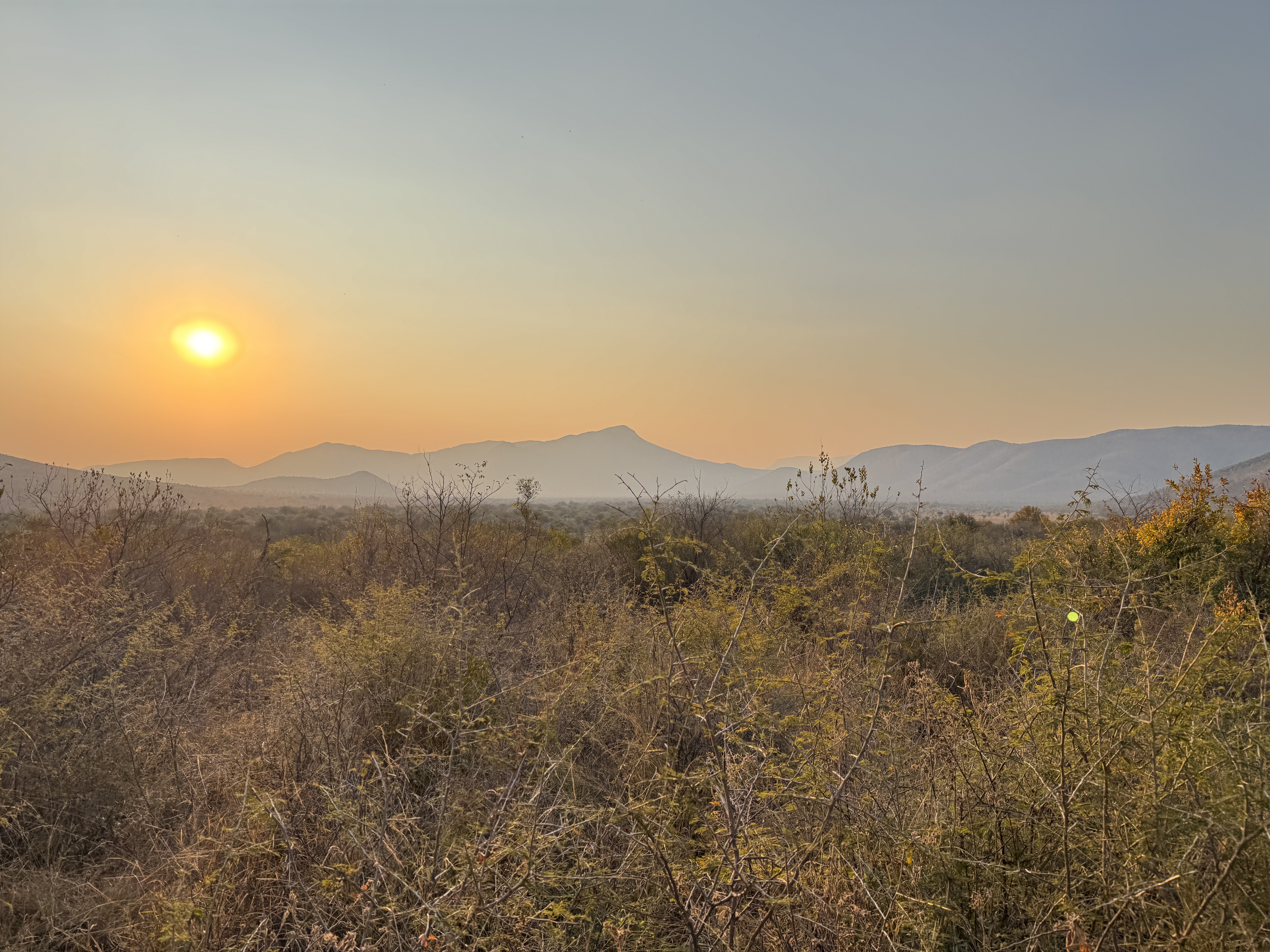 Warp Theme Framework